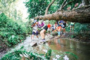 BIB: 
                            <button type="button" onclick="openModal(25516369)" class="btn btn-primary btn-sm float-right btn-popup" data-toggle="modal" data-target=".modal-high-quality">
                        <i class="fas fa-shopping-cart"></i> Add to Cart
                    </button>
                                            <button type="button" onclick="isThisMe(25516369, true)" class="btn btn-success btn-sm float-right btn-popup btn-isme hidden" data-toggle="tooltip" data-placement="bottom" title="นี่คือรูปของคุณใช่ไหม คลิกที่นี่เพื่อเอาเข้าอัลบั้ม">
                        <i class="fas fa-plus"></i> Add to album
                    </button>
                    <button type="button" onclick="isThisMe(25516369, false)" class="btn btn-warning btn-sm float-right btn-popup btn-isnotme hidden">
                        <i class="fas fa-ban"></i> Remove from album
                    </button>